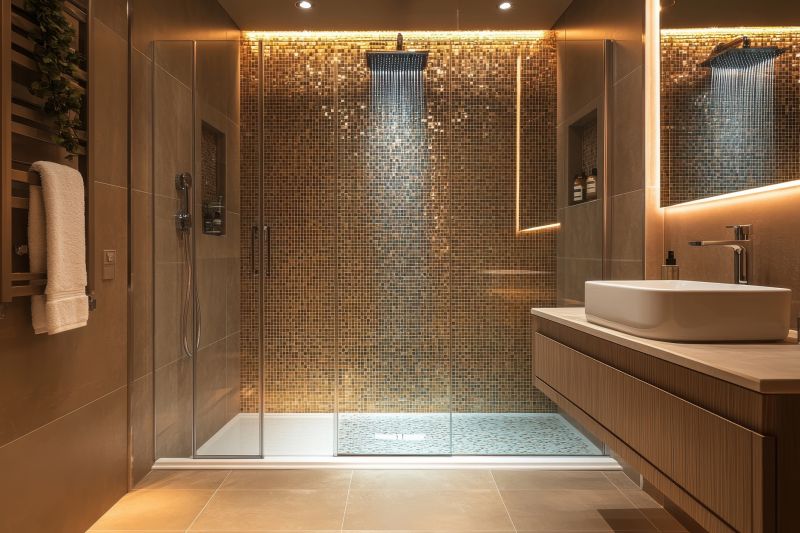 Elegant Shower Installations